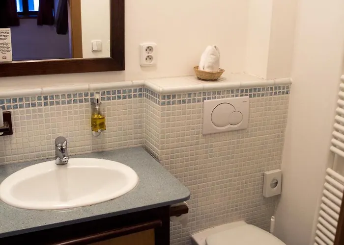 캐슬 뷰 아파트먼트 * 체스키크룸로프